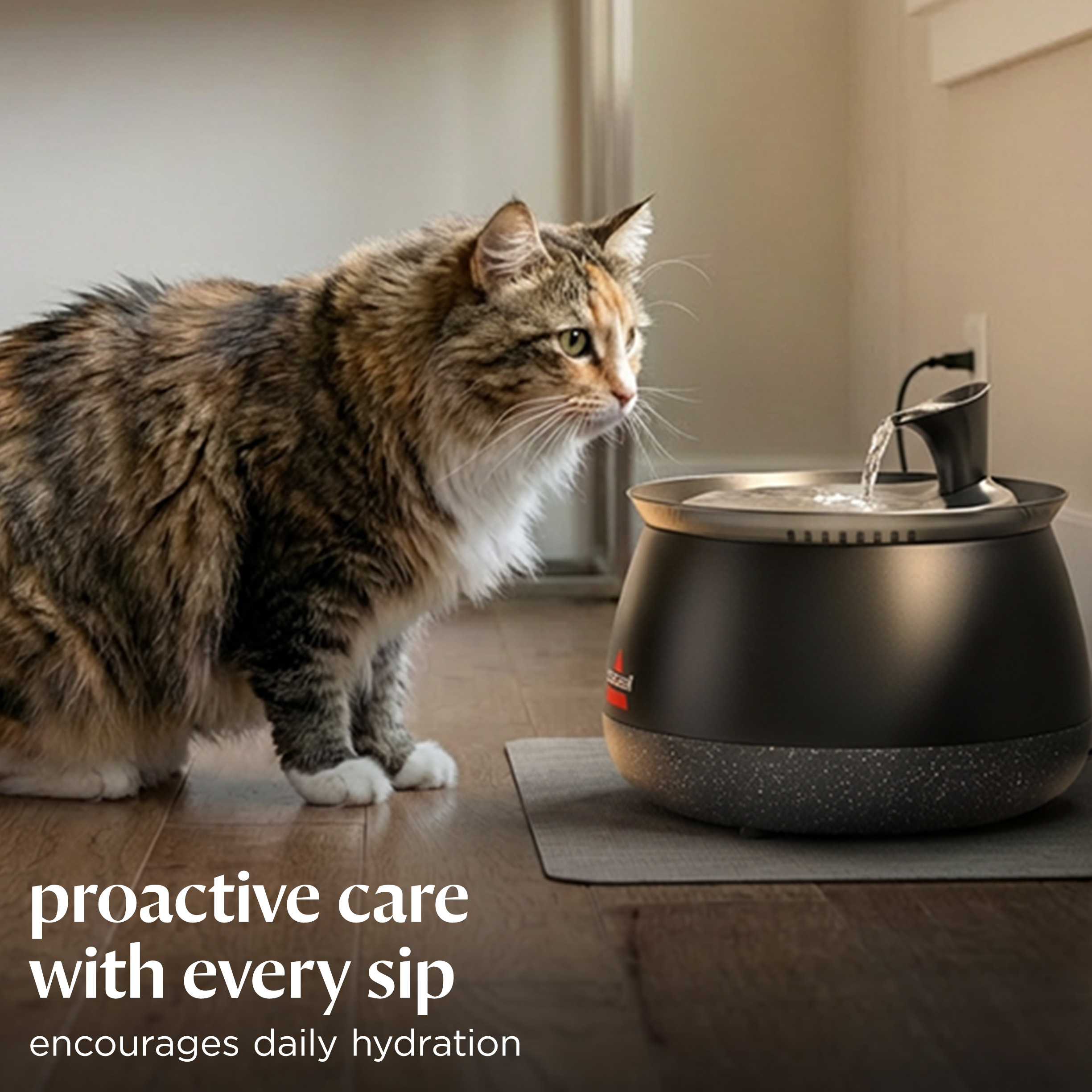 BISSELL HydrateWell Automatic Cat Water Fountain, Black photo 4
