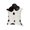 White & chocolate, variant on Natural Classic Calfskin Throw Rug | White & chocolate | 2'x3'