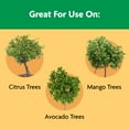 thumbnail image 6 of Miracle-Gro Shake 'n Feed for Citrus, Avocado & Mango, 3002710 , 4.5 Lb., 6 of 11