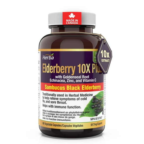 Herba Elderberry Supplement – 2,000mg Equivalent | Sambucus Black Elderberry Capsules | 10:1 Extract with Echinacea and Goldenseal Root, Vitamin C, and Zinc | 60 Vegetable Capsules
