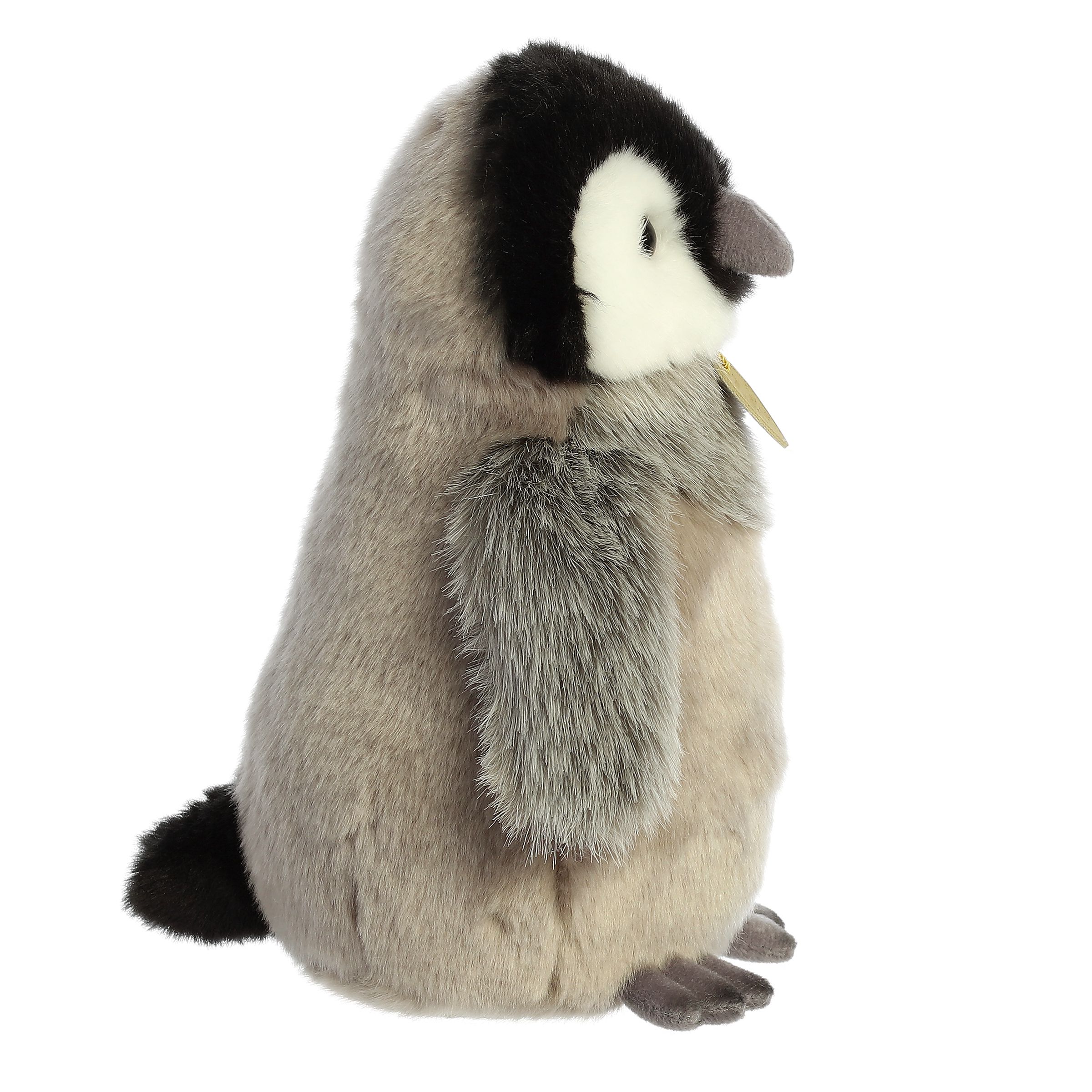 emperor-penguin-chick-pet