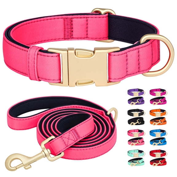 Didog Waterproof Durable Nylon Dog Collar and Matching Leash set Soft Padded Metal Buckle for Small/Medium/Large Breeds 8 Colors