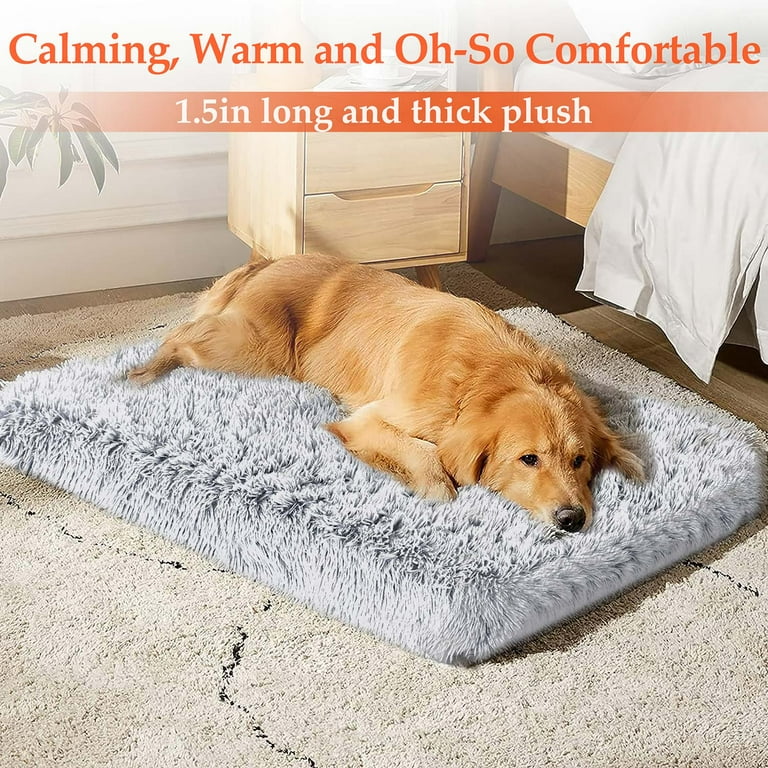 iFanze Waterproof Orthopedic Dog Bed, Egg Crate Memory Foam