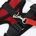 Vest for Dogs with Name Jonhart Coonhound Dog for Blind Dogs Medium