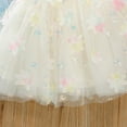 thumbnail image 4 of Tiijoy Toddler Girls Tutu Skirt Flower Embroidery Princess Layered Tulle Skirt, Sizes 3-4, 4 of 4