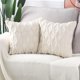 thumbnail image 3 of Paquete de 2 fundas de almohada decorativas de terciopelo de lana corta de felpa suave, funda de cojín de estilo lujoso, funda de almohada para sofá, dormitorio, cuadrado, 3 of 7