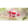 thumbnail image 2 of Wild Red Poppy Flowers - Floral Canvas Art Print, 2 of 3