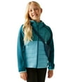 thumbnail image 4 of Regatta Manteau Hybride Kielder IX pour Garçons/filles, 4 of 6