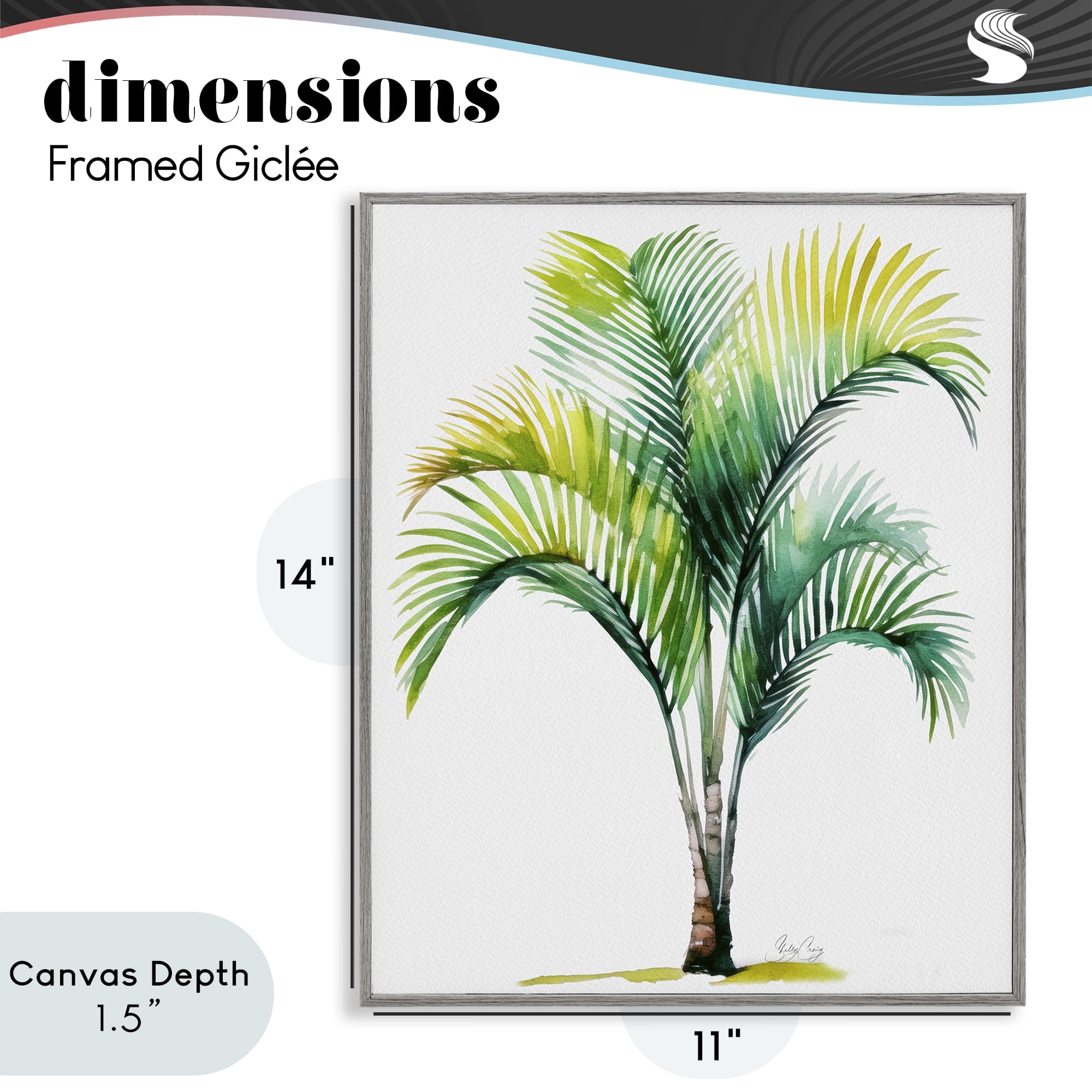 Stupell Industries Coastal Canopy Palm Tree Gray Framed Giclee Art, design by Shelly Craig
