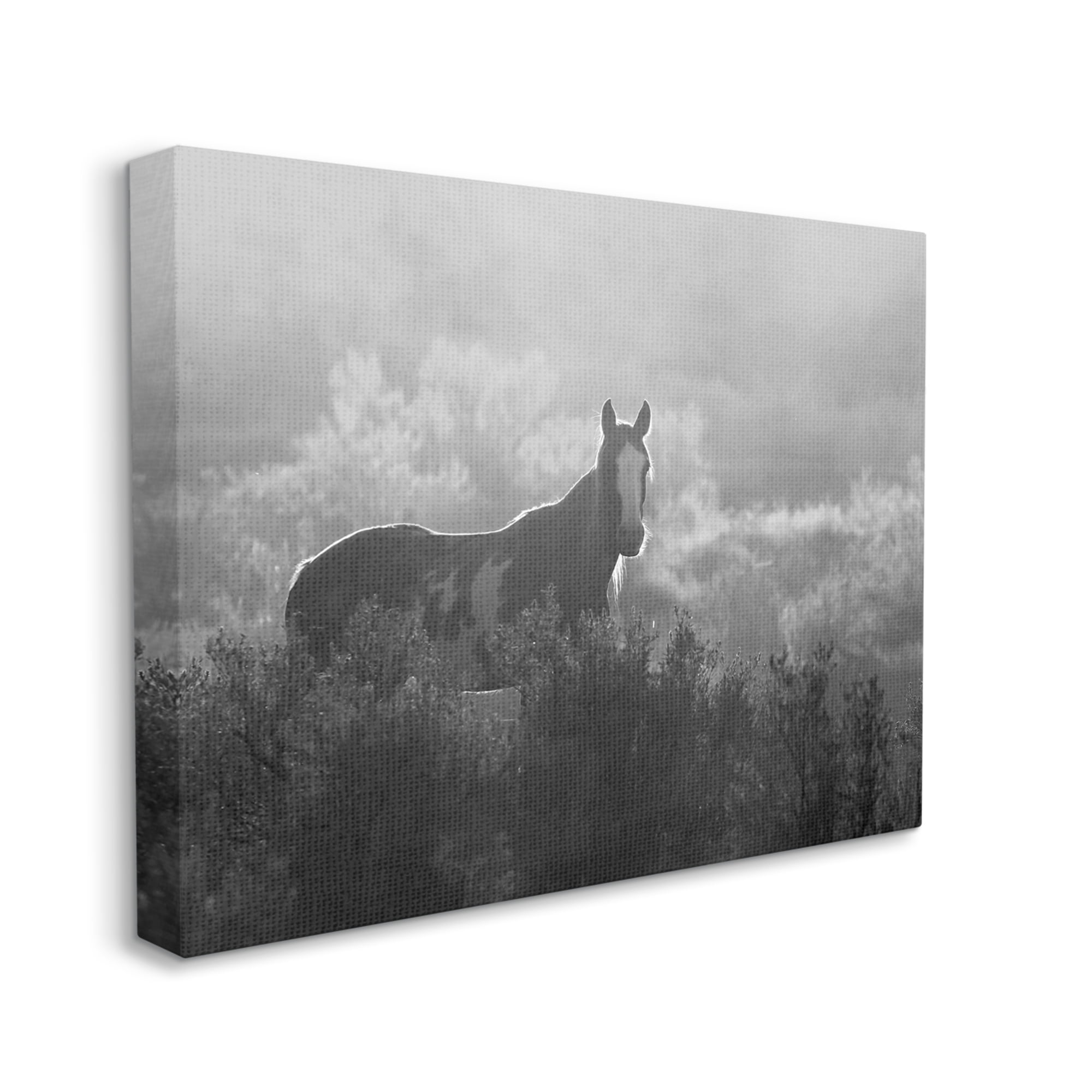 Stupell Industries Horse in Nature Trees Landscape Photography Gallery Wrapped Canvas Art Print Wall Art, 20 x 16
