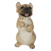 Standing French Bulldog