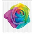 thumbnail image 3 of Vintage Rainbow Shower Curtain, Romantic Blooming Rose with Colorful Petals Love Flower Valentine's Day, Fabric Bathroom Set with Hooks, 69W X 75L Inches Long, Multicolor, by Ambesonne, 3 of 3