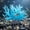 A, variant on Cififendec Artificial Kelp Aquarium Plant, 13.78", Realistic Looking Seaweed Water Grass for Fish Tank Landscape, Underwater Seabed Aquatic Environment Layout Use