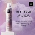 SGX NYC Dry Touch Volumizing Dry Shampoo Paraben Free, Vegan Dry