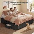 thumbnail image 4 of Queen Size Black Metal Platform Bed Frame with 6 Storage Drawers, Steel Slat Support, Under-Bed Storage, No Box Spring Needed, 4 of 8