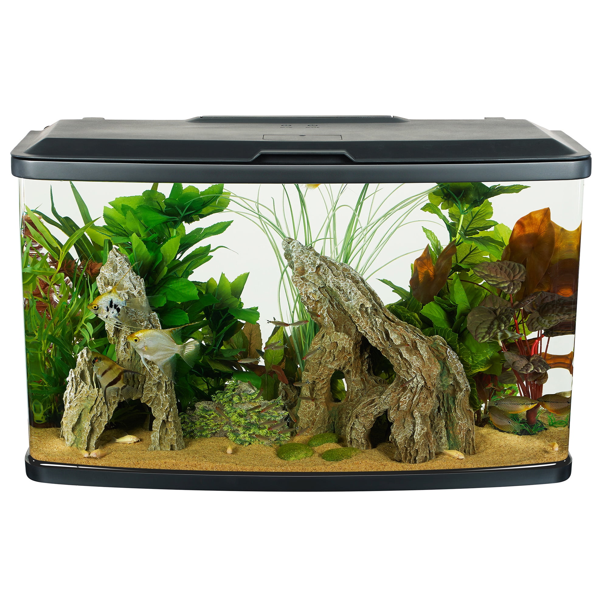 Fluval 23-Gallon Vista Aquarium Kit - Walmart.com