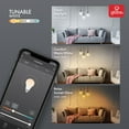 thumbnail image 4 of Globe Electric 34920 G25-Shape E26-Base Wi-Fi Smart Dimmable Tunable-White Edison-Style 60-Watt-Equivalent LED Light Bulb, 4 of 4