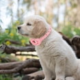 thumbnail image 3 of Collier de Localisation Anti-Perte Housse de Protection Collier pour Animaux Compatible avec Air Tag, 3 of 9