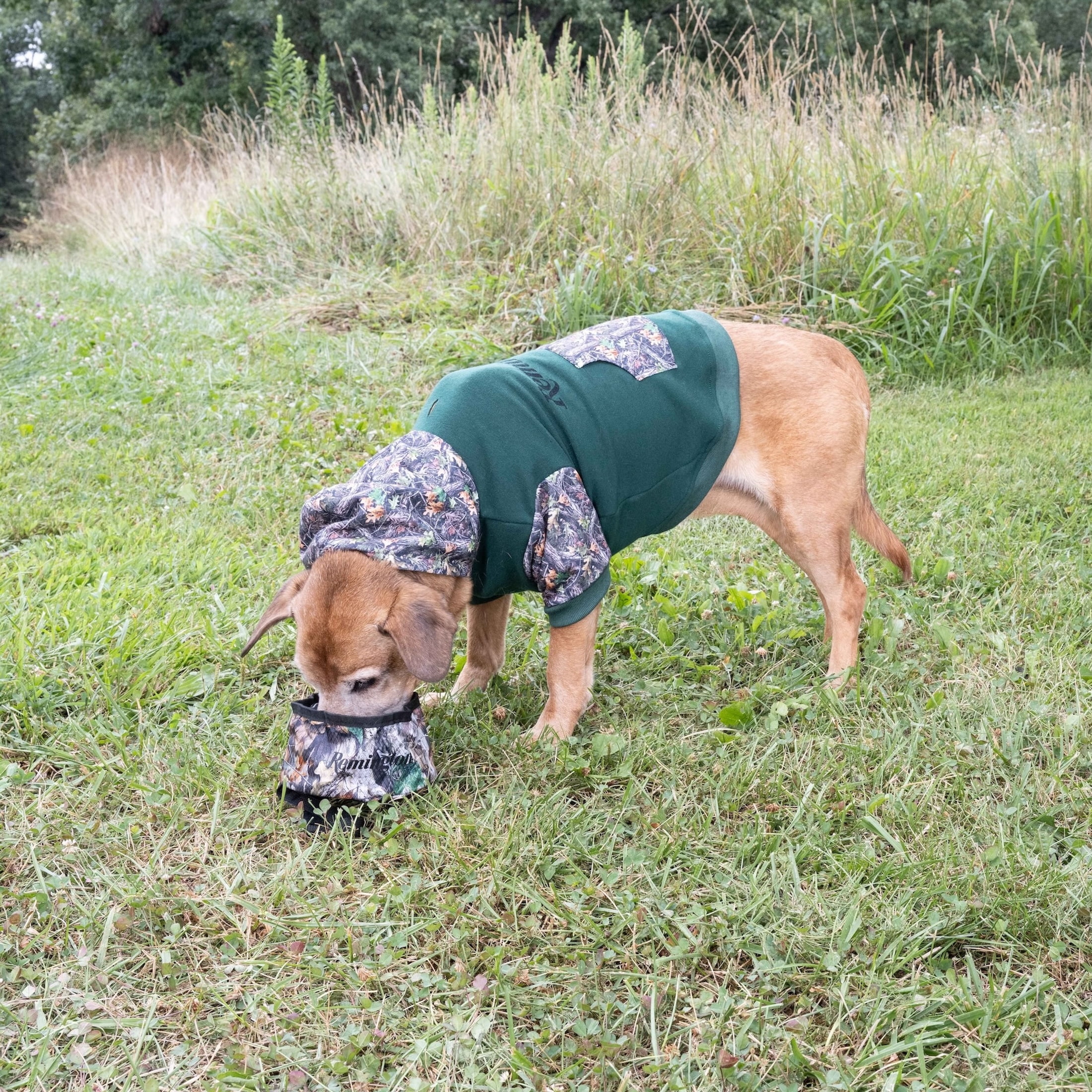 Remington Packable Travel Dog Bowl, Camo