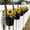 Black, variant on DagobertNiko Hanging Flower Pot, 6.3in Metal Iron Wall Flower Pot with Detachable Hooks,Rustic Planter for Fence Balcony Garden Home Deco,Small Hanging Basket for Succulents Herbs Artificial Flowers
