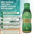 thumbnail image 5 of Tropical Oasis Calcium + Magnesium Citrate, Vitamin Supplement for Bone, Teeth, Muscle Function, Immune and Hormone Health, Orange Dreamsicle, 16 Oz, 32 Servings, 5 of 9