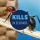 thumbnail image 3 of Insect Killer BioAdvanced Home Pest Control 3,78 L para interiores y exteriores, 3 of 6