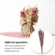 thumbnail image 4 of Ramo Seco Advancent Flores Secas Naturales 15 Piezas, 4 of 6
