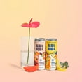 thumbnail image 4 of Aura Bora Caffeine-Free, GMO-Free Sparkling Water Variety Pack, 12 oz, 12 Cans, 4 of 5