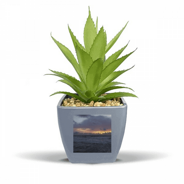 Ciel Océan Science de l'Eau Image Nature Faux Ananas Pot de Fleurs Vase Mini Décor