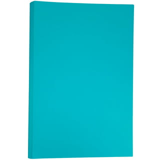 White Pastel Colored Paper – 11 x 17 (Tabloid/Ledger Size