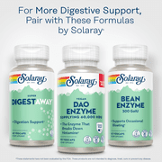 Solaray Vegan Dao Enzyme, 60,000 HDU, 90 VegCaps