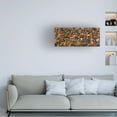 thumbnail image 3 of Kurt Shaffer Photographs 'Three-Dollar Pumpkin Abstract' Canvas Art, 3 of 4