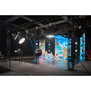 Godox Litemons LE300BI Bi-Color LED Monolight (White)