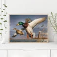 thumbnail image 4 of Cuadros Decorativos Kit de pintura al óleo de pato salvaje en el lago por números DIY pintura acrílica sobre lienzo Sywqhk Nuevos Originales, 4 of 9