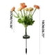 thumbnail image 3 of Lámpara de peonía solar para jardín, lámpara LED de simulación de 7 cabezas de peonía de seda, lámpara de inserción en el suelo, lámpara decorativa para patio, lámpara de peonía, 3 of 3