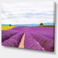 thumbnail image 2 of Sunflower and Lavender Fields - Landscape Canvas Wall Art, 2 of 3