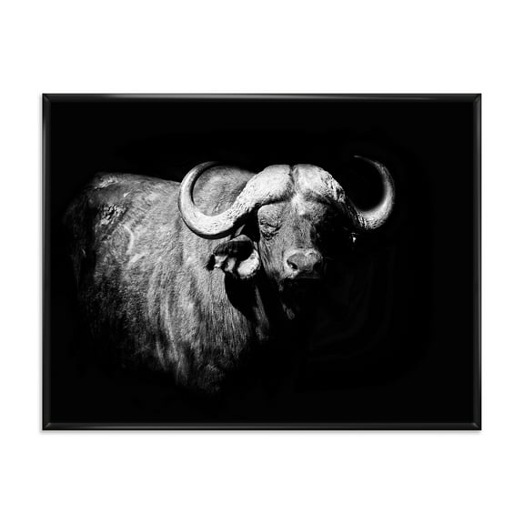 Designart 'Black and White Portrait Of Buffalo I' Farmhouse Framed Canvas Wall Art Print