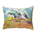 thumbnail image 1 of Betsy Drake ZP417 20 x 24 Po Sanderlings Oreiller à Fermeture Éclair Extra Large, 1 of 1