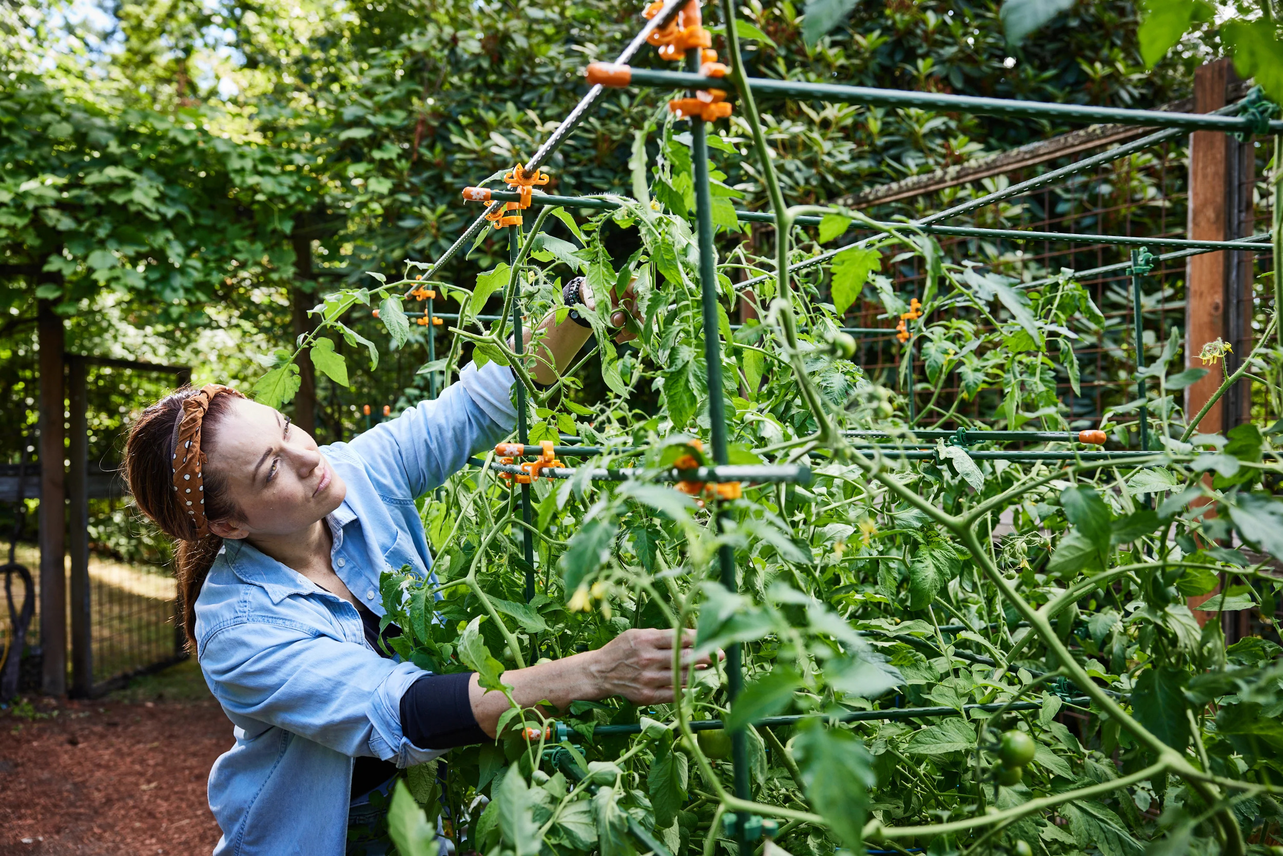 C-BITE 5' DIY Garden Stake Support Kit - Versatile Vegetable Climber ...