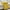 Yellow, variant on Cooling Blanket Air Conditioning Quilt, Cooling Sheets, Cooling Blankets for Hot Sleepers, Soft Lightweight Blanket for All Seasons, Summer Blanket Skin-Friendly Washed Cotton, 59.01x78.74in