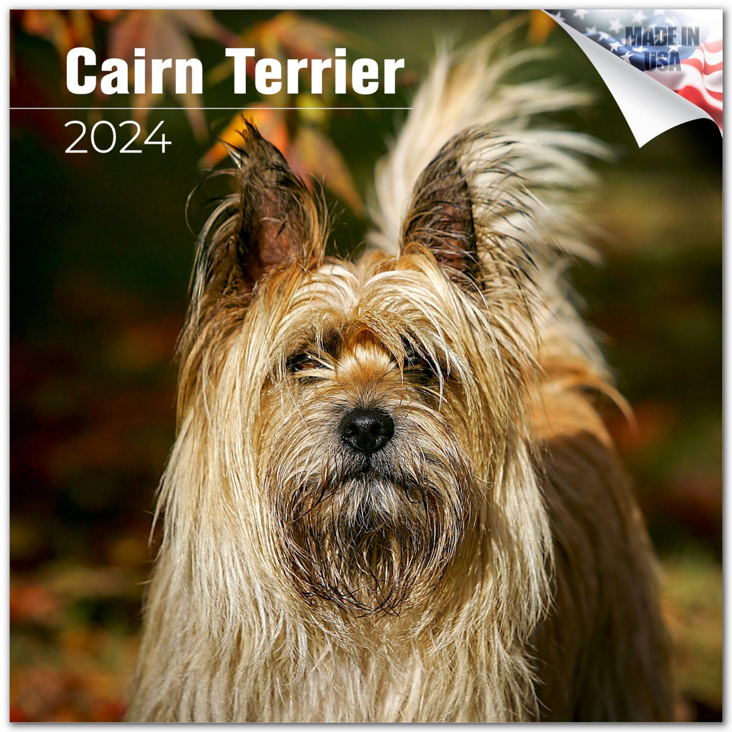 2023 2024 Cairn Terrier Calendar - Dog Breed Monthly Wall Calendar - 12