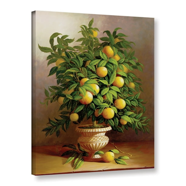 Potted Orange Tree Walmart Com Walmart Com