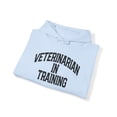thumbnail image 4 of Veterinarian Vet Future School Student Hoodie, Gifts, Hooded Sweatshirt, 4 of 4