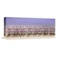 thumbnail image 1 of Global Gallery Ahmed Thabet 'Comrades In Color' Canvas Wall Art, 1 of 4