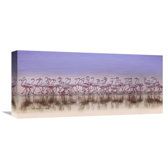 Global Gallery Ahmed Thabet 'Comrades In Color' Canvas Wall Art