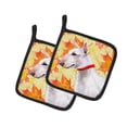 thumbnail image 1 of Carolines Treasures BB9954PTHD Bull Terrier Automne Paire de Porte-Pot, 1 of 1