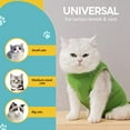 Avont Cat Recovery Suit Kitten Onesie for Cats After Surgery, Cone of