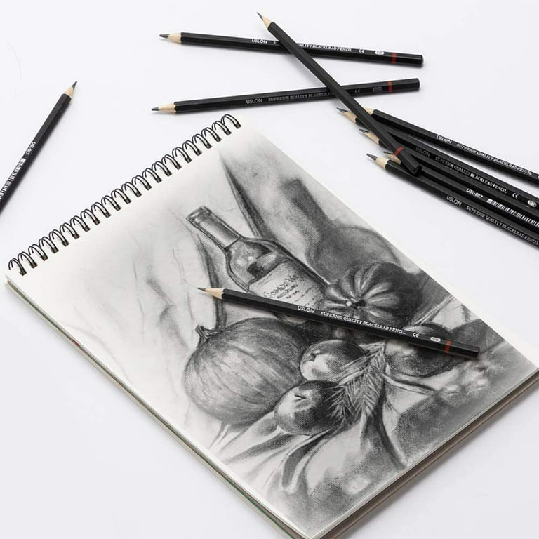 Professional Drawing Sketching Pencil Set - 12 Pieces Art Drawing