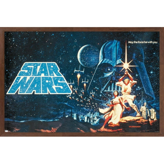 Star Wars: A New Hope - Horizontal Banner Wall Poster, 14.725" x 22.375" Framed