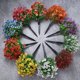 thumbnail image 4 of Simulated Violet Field Insertion Pottery Indoor Courtyard Decoration Courtyard Green Insertion, 4 of 5